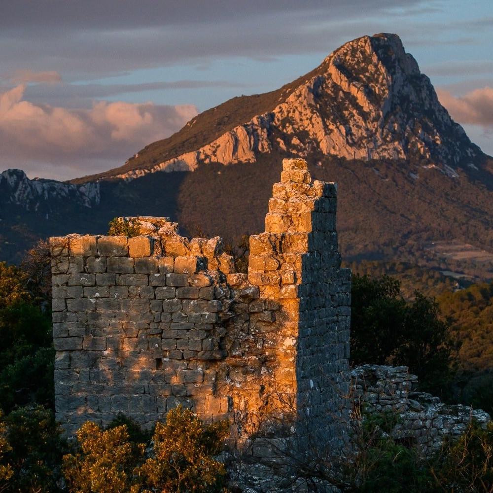 Balade au Pic St Loup